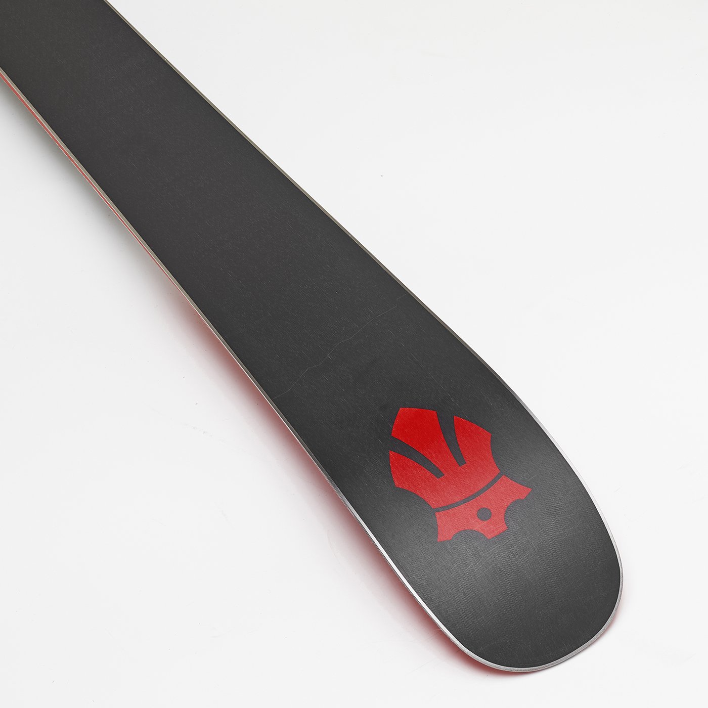 Majesty Dirty Bear Pro — bilde 3