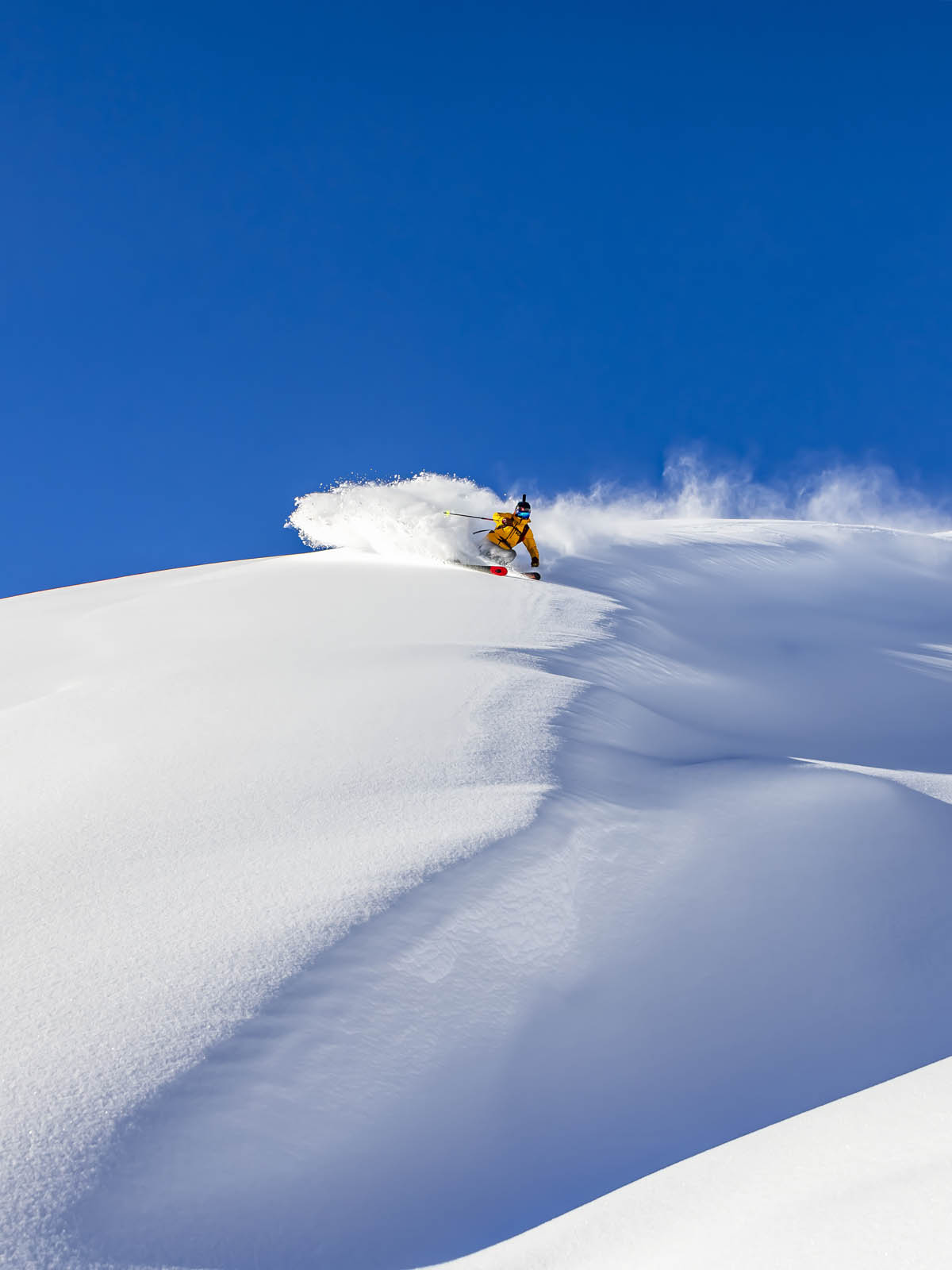 Majesty Vanguard 98 CTi — Freeride