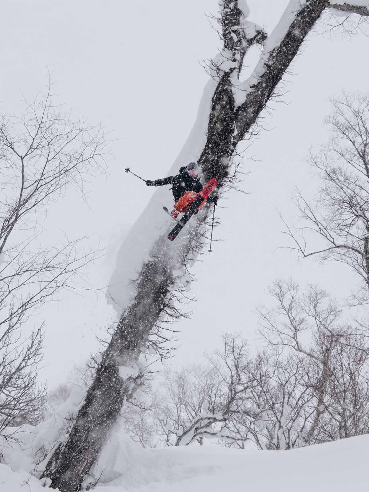 Majesty Vanguard 98 CTi — Freeride