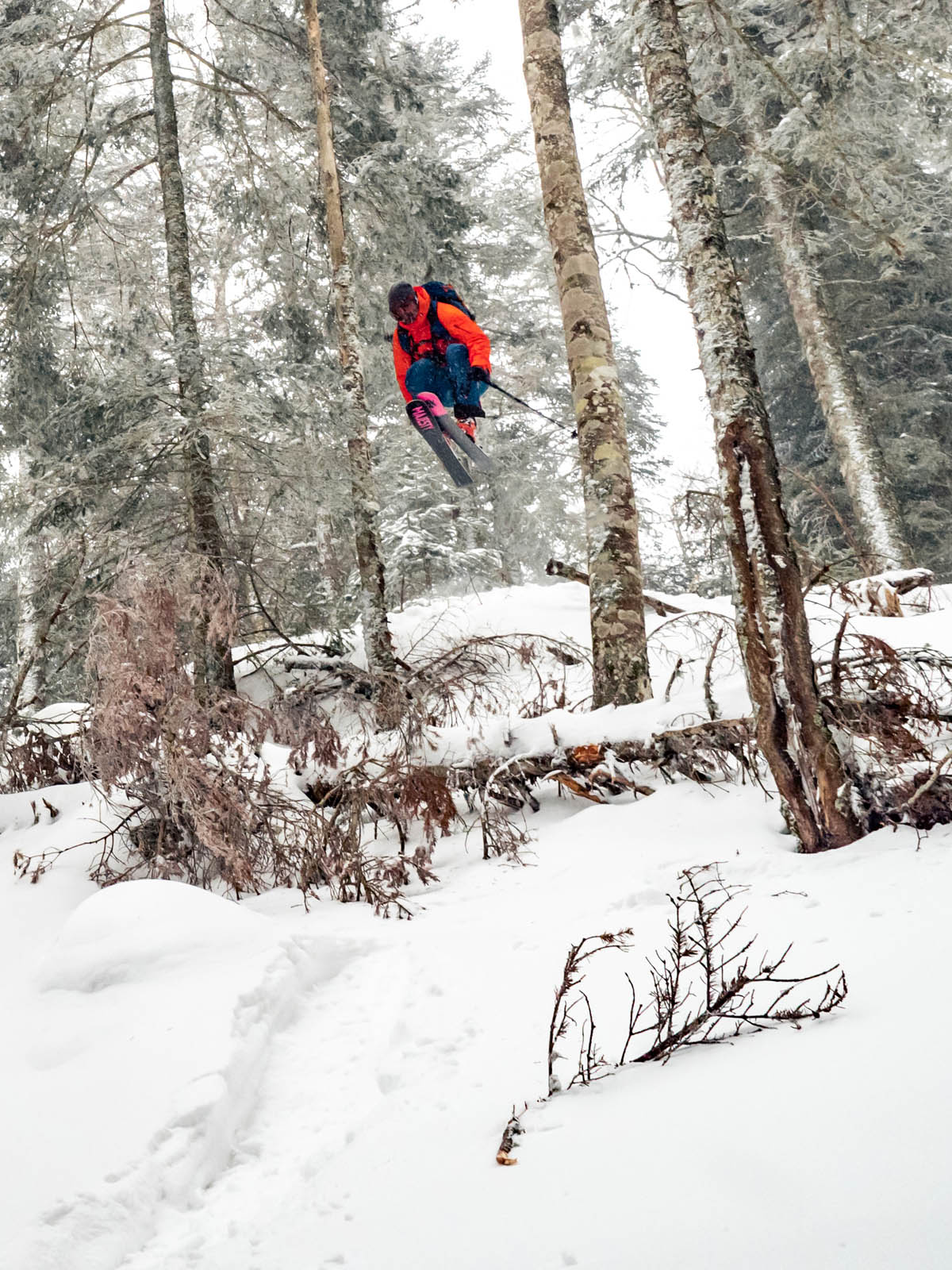 Majesty Havoc 100 Carbon — Freeride Touring